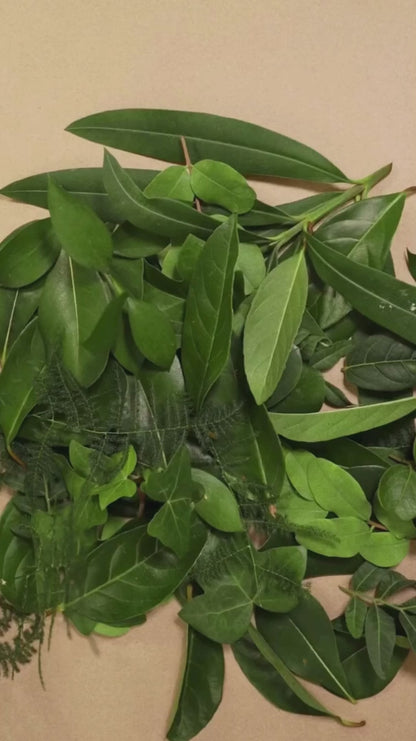 Chlorophyll Leaf Baby Teether